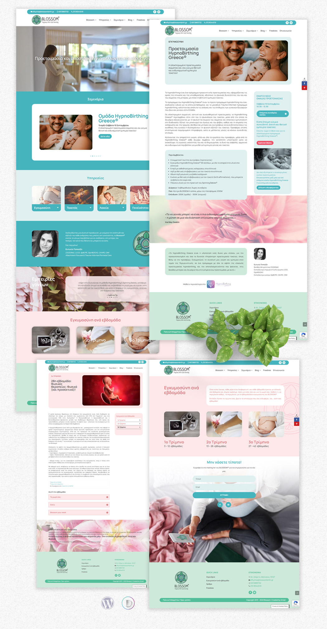 Blossom Website Design & Development